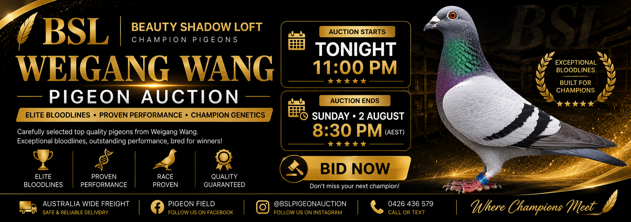 Current Auctions