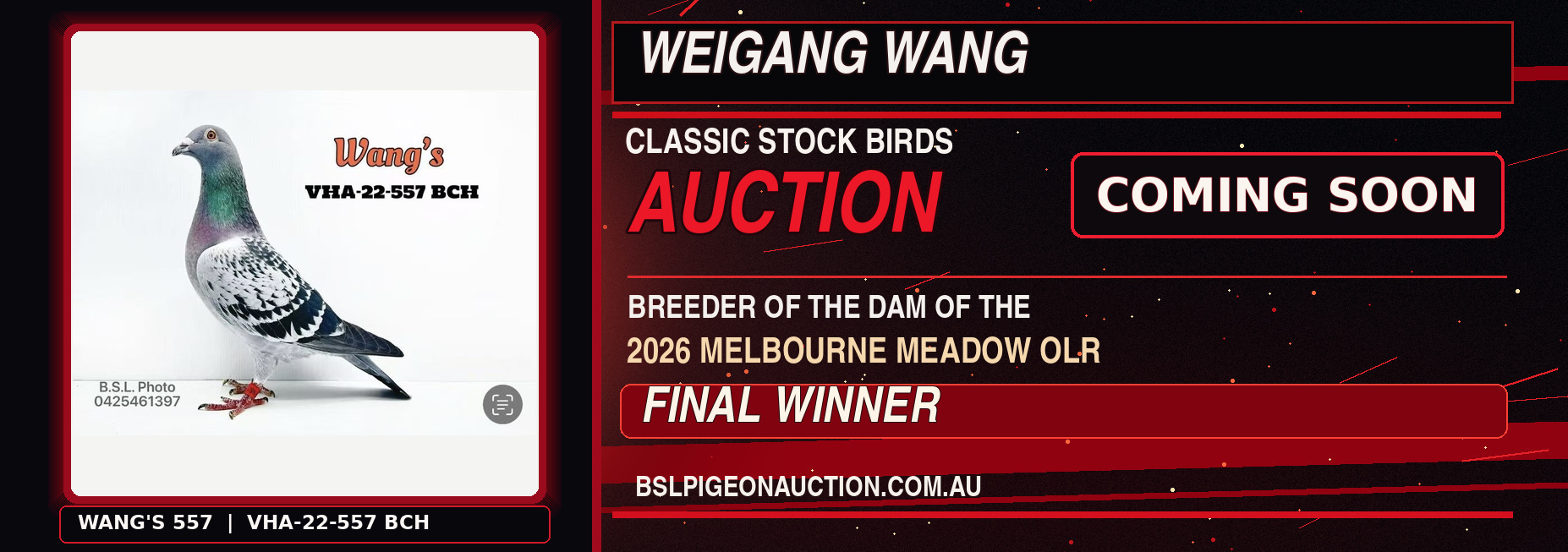 Auction Add 1