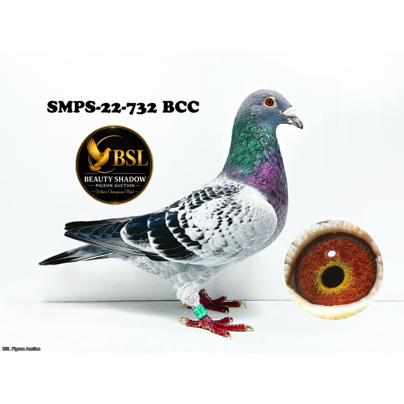 Lot 1. SMPS-22-732 BCC