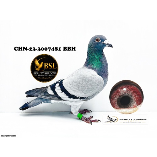 Lot 6. CHN-23-3007481 BBH