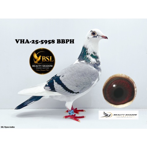 Lot 5. VHA-25-5958 BBPH