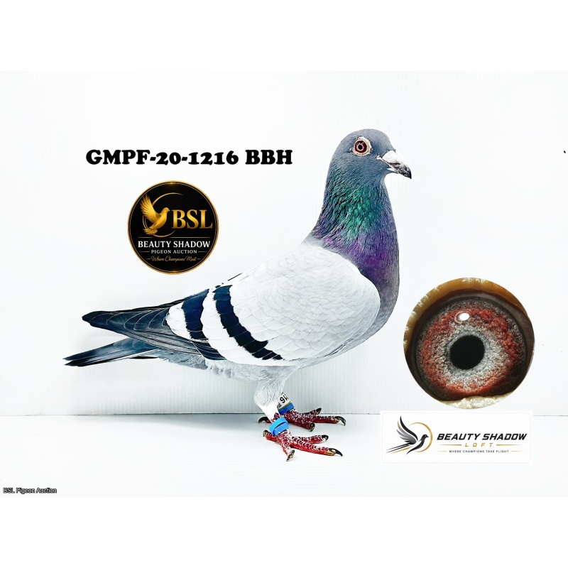 Lot 8. GMPF-20-1216 BBH