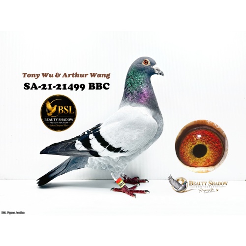 Lot 2. SA-21-21499 BBCP