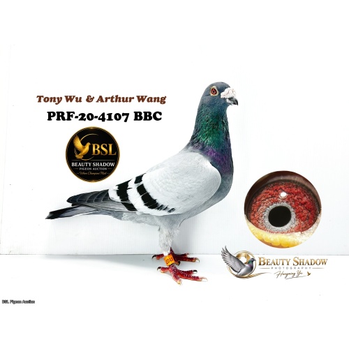 Lot 4. PRF-20-4107 BBC