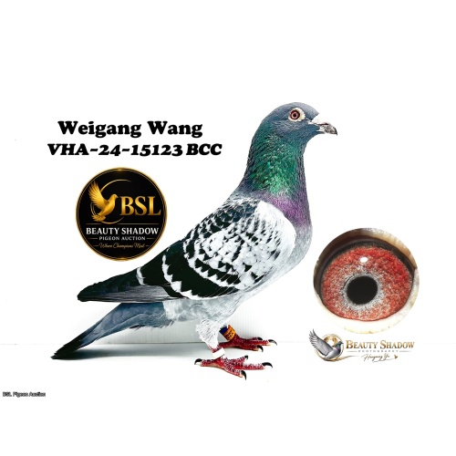 Lot 6. VHA 24 15123 BCC