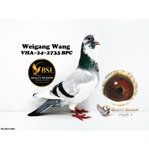 Lot 7. VHA 24 2735 BPC