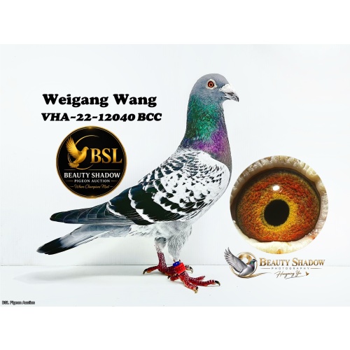 Lot 5. VHA-22-12040 BCC