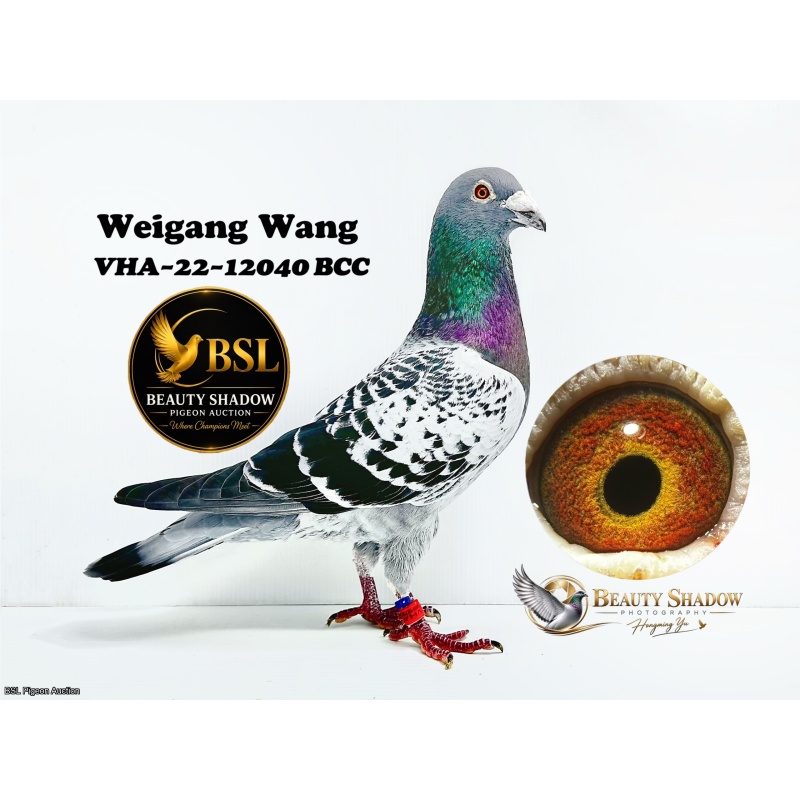 Lot 5. VHA-22-12040 BCC