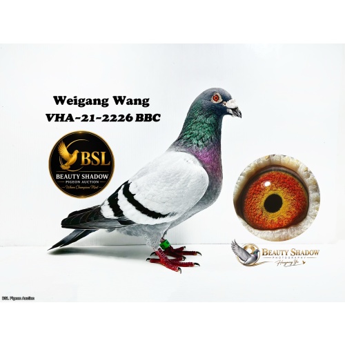 Lot 1. VHA-21-2226 BBC