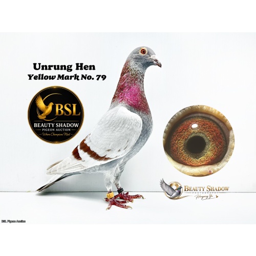 Lot 13. Unrung Hen ML