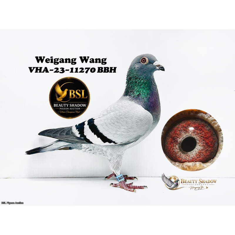 Lot 2. VHA-23-11270 BBH