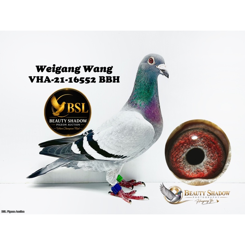 Lot 10. VHA-21-16552 BBH