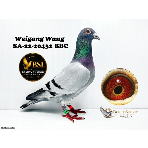 Lot 14. SA-22-20432 BBC