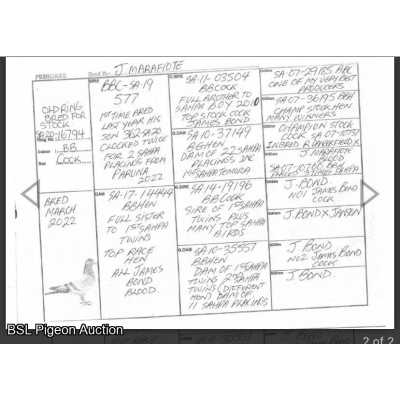Lot 5. VHA-22-12040 BCC